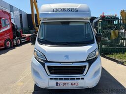 Peugeot Equi-Trek Sonic SW35P HORSE TRUCK (2) PAARDENCA...