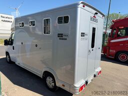 Peugeot Equi-Trek Sonic SW35P HORSE TRUCK (2) PAARDENCA...