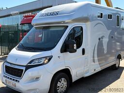 Peugeot Equi-Trek Sonic SW35P HORSE TRUCK (2) PAARDENCA...