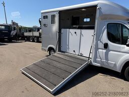 Peugeot Equi-Trek Sonic SW35P HORSE TRUCK (2) PAARDENCA...