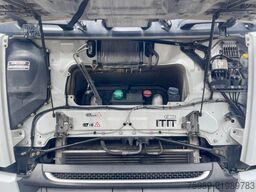 DAF XF 460 MANUAL, ADR, FRIGO