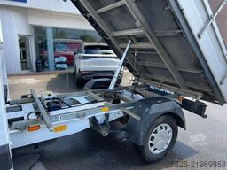 FORD Transit Pritsche BSH Dreiseitenkipper DoKa L3