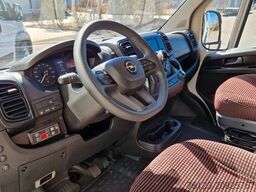 FIAT 1x Ducato 1x Opel Movano 18 SS in Stock