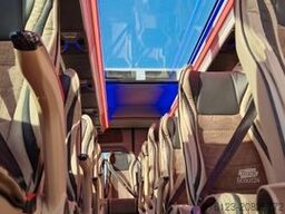 MERCEDES-BENZ 519 und 517 Glasdach XXL 20 Sitze Stock