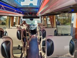 MERCEDES-BENZ 519 und 517 Glasdach XXL 20 Sitze Stock