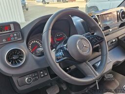 MERCEDES-BENZ 519 und 517 Glasdach XXL 20 Sitze Stock