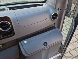 MERCEDES-BENZ 519 und 517 Glasdach XXL 20 Sitze Stock