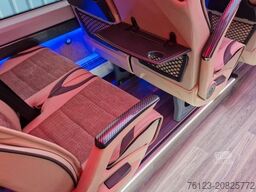 MERCEDES-BENZ 519 und 517 Glasdach XXL 20 Sitze Stock