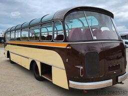 SETRA Kässbohrer Setra S 11