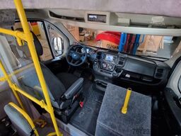 FIAT Frontniederflur Ducato Movano Boxer Sprinter