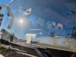 TEMSA Prestij SX Novo Lux Daily