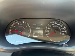 Renault Master STX S3 Paardenwagen Hengsten uitvoering ...