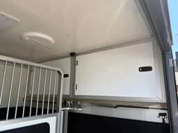Renault Master STX S3 Paardenwagen Hengsten uitvoering ...