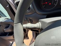Renault Master STX S3 Paardenwagen Hengsten uitvoering ...