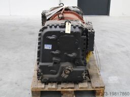 ZF 