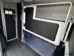 RENAULT Master ZF 9-GANG AUTOM. 2025er STX, 3-Haras