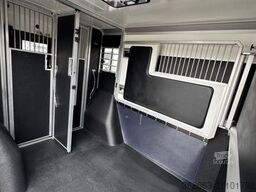 RENAULT Master ZF 9-GANG AUTOM. 2025er STX 5-Haras LONG