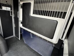 RENAULT Master ZF 9-GANG AUTOM. 2025er STX 5-Haras LONG