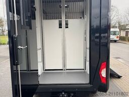 RENAULT Master ZF 9-GANG AUTOM. 2025er STX, 3-Haras