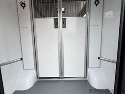 RENAULT Master ZF 9-GANG AUTOM. 2025er STX, 3-Haras