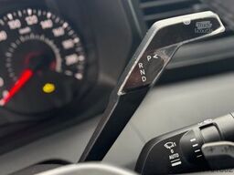 RENAULT Master ZF 9-GANG AUTOM. 2025er STX, 3-Haras