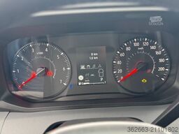 RENAULT Master ZF 9-GANG AUTOM. 2025er STX, 3-Haras