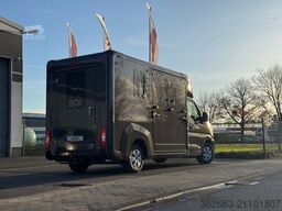 RENAULT Master ZF 9-GANG AUTOM. 2025er STX, 3-Haras
