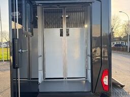 RENAULT Master ZF 9-GANG AUTOM. 2025er STX, 3-Haras