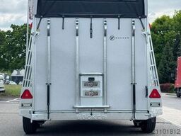 BUECKER TRAILER Careliner L Pferdeanhänger mit Rampe-Tür-System