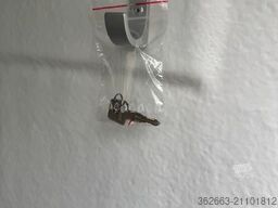 BUECKER TRAILER Careliner L Pferdeanhänger mit Rampe-Tür-System