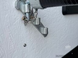 BUECKER TRAILER Careliner L Pferdeanhänger mit Rampe-Tür-System