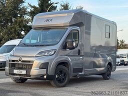 OPEL Movano AUTOM. AKX 3- Haras Pferdetransporter
