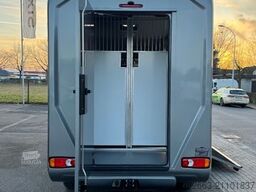 OPEL Movano AUTOM. AKX 3- Haras Pferdetransporter