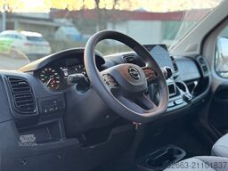 OPEL Movano AUTOM. AKX 3- Haras Pferdetransporter