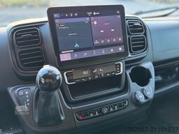 OPEL Movano AUTOM. AKX 3- Haras Pferdetransporter