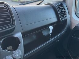 OPEL Movano AUTOM. AKX 3- Haras Pferdetransporter