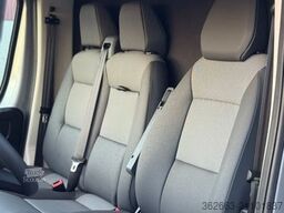 OPEL Movano AUTOM. AKX 3- Haras Pferdetransporter