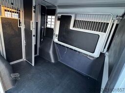 RENAULT Master ZF 9-GANG AUTOM. 2025er STX 5-Haras LONG