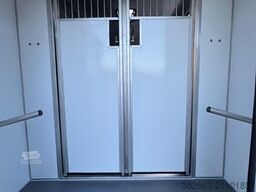 RENAULT Master ZF 9-GANG AUTOM. 2025er STX 5-Haras LONG