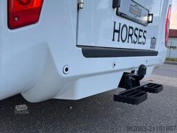 RENAULT Master ZF 9-GANG AUTOM. 2025er STX 5-Haras LONG