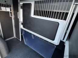 RENAULT Master ZF 9-GANG AUTOM. 2025er STX 5-Haras LONG