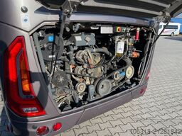 TEMSA MD 9  /  Midibus  /  9,5 m  /  wie neu