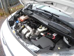 FORD Transit Connect Kasten/KÜHLKASTEN