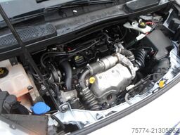 FORD Transit Connect Kasten/KÜHLKASTEN