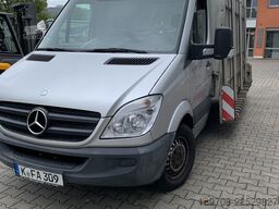 Mercedes-Benz Sprinter 313