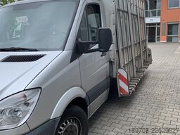 Mercedes-Benz Sprinter 313