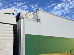 MAN TGX 26.480