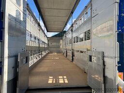 Finkl Livestock 1/2/3 stock type 2