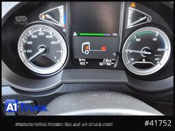 DAF DAF XF 480 FAN SSC Intarder, Lenkachse