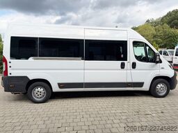 FIAT Ducato Kasten Bus 7-Sitze L3H2 Rollstuhlrampe
